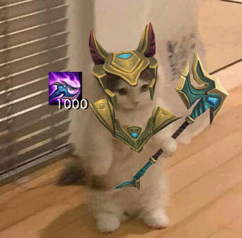 nasus cat meme